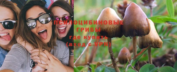 стаф Абаза