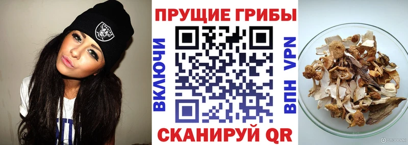Галлюциногенные грибы мицелий  Камышлов 