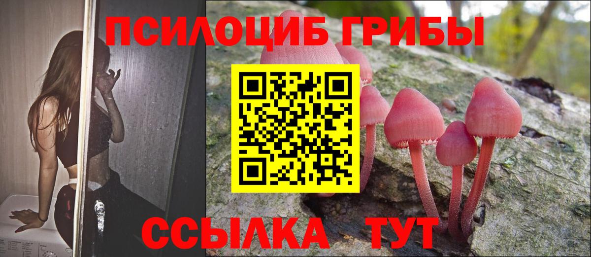 Камышлов  Псилоцибиновые грибы мухоморы  Вход с VPN 