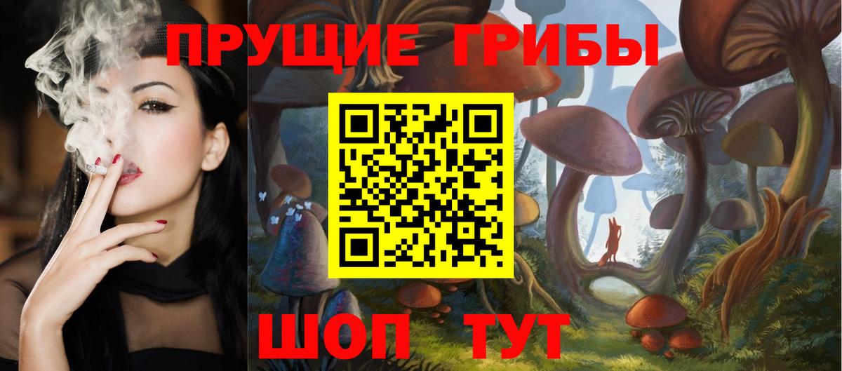 Галлюциногенные грибы ЛСД  где купить наркотик  Псилоцибиновые грибы GOLDEN TEACHER  Камышлов 