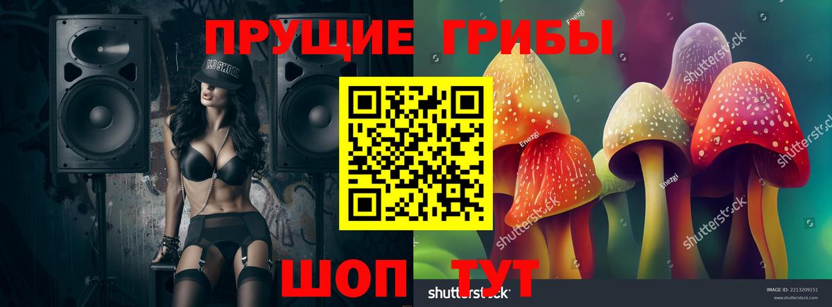 Галлюциногенные грибы Cubensis Камышлов